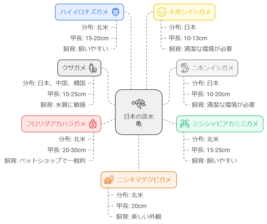 日本に生息する淡水亀の種類と特徴